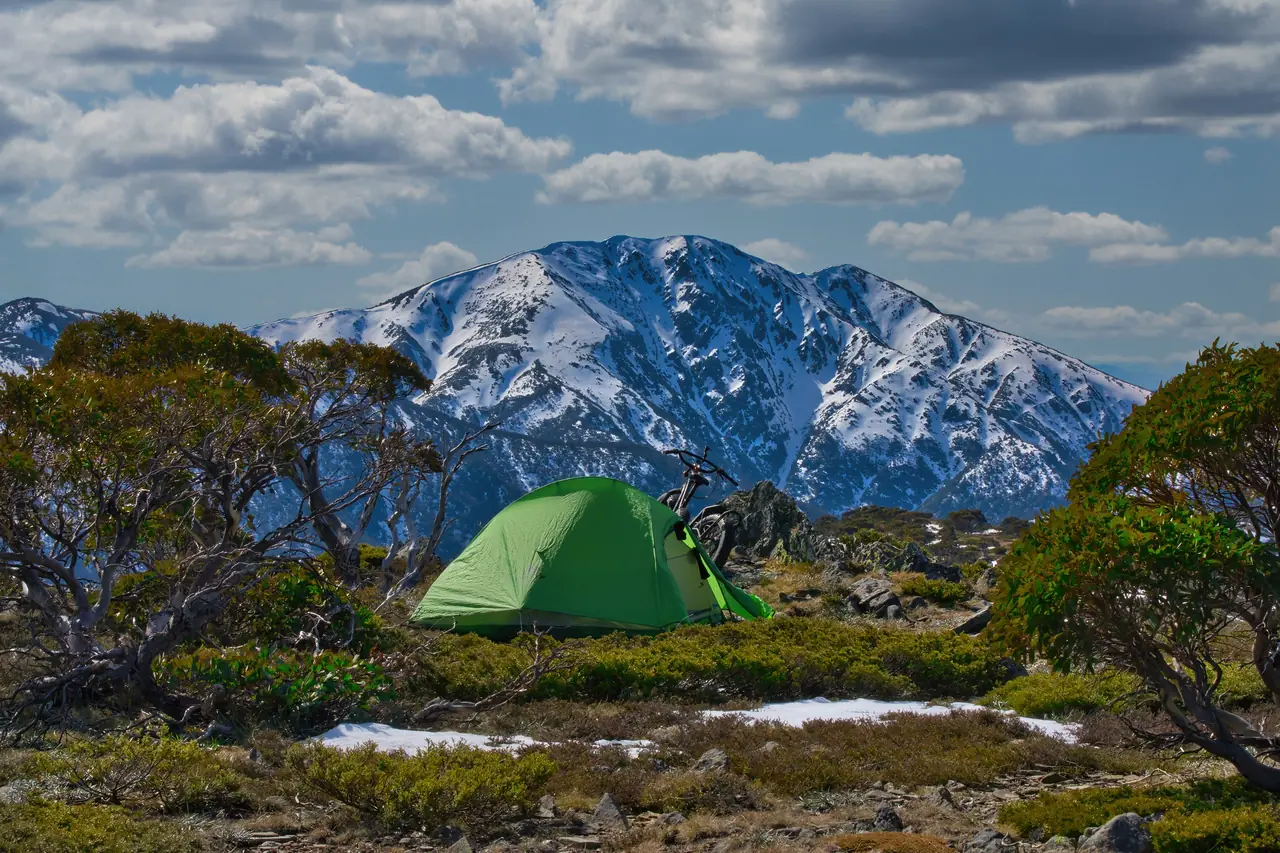 Green tent among alpine shrubs facing a snowy mountain