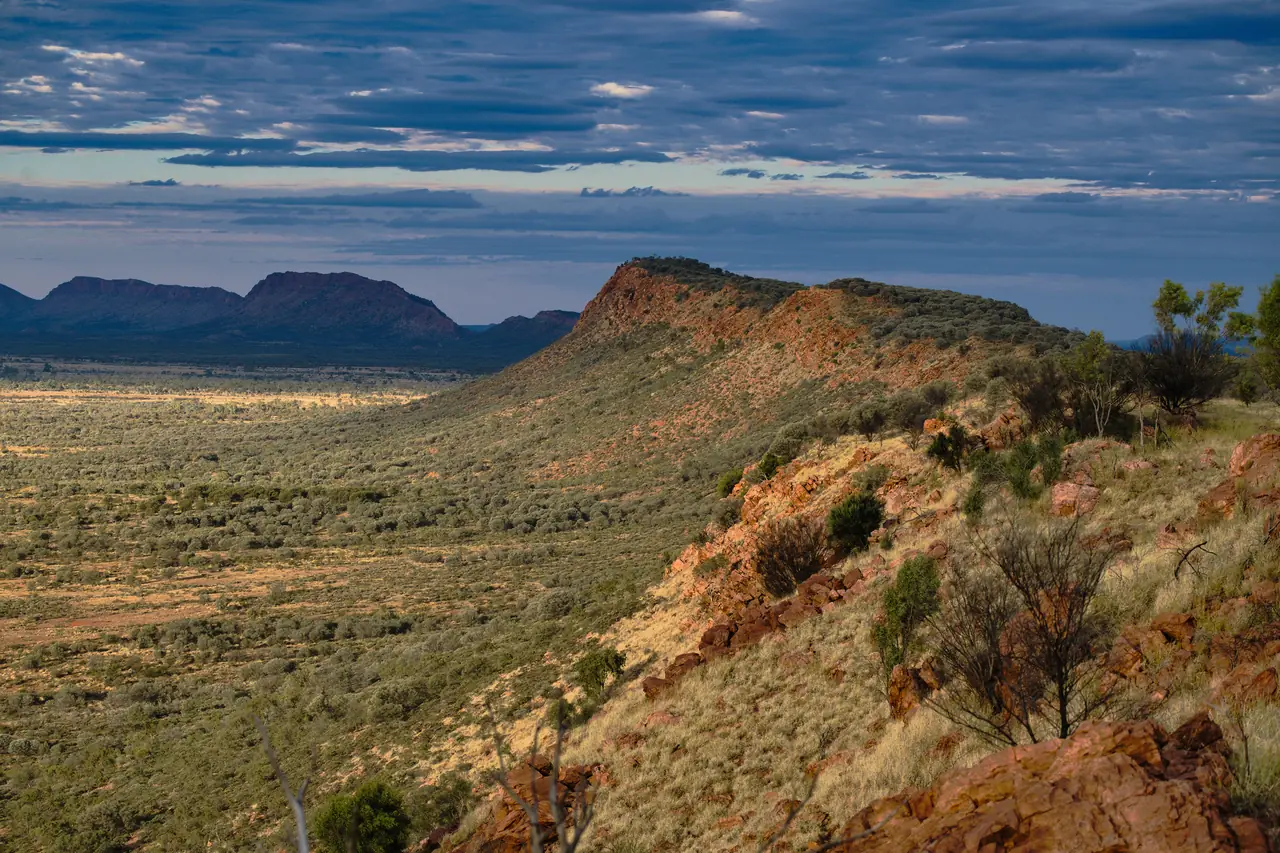 Rocky range rising above spinifex plains under a grey sky