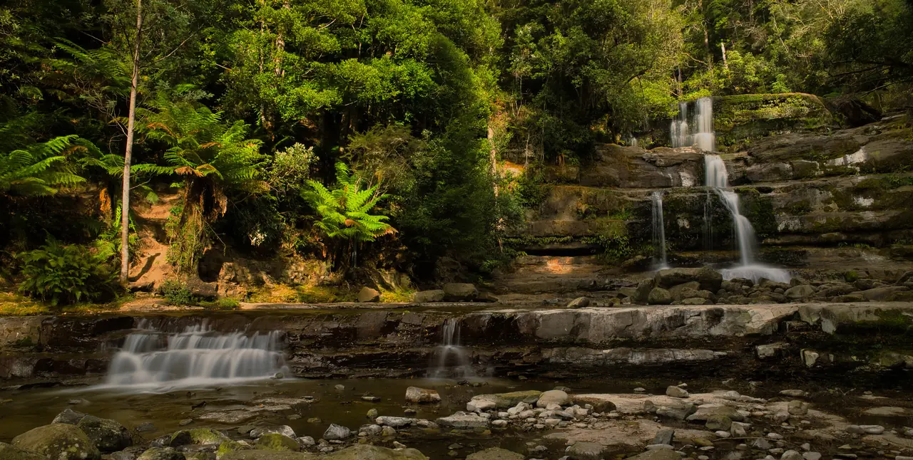 Tiered waterfall in green rainforest